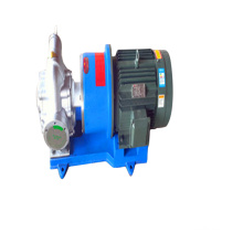 Factory Supply Durable and Stable Performance Magnetic Rotor Pump Magnetic Drive Pump